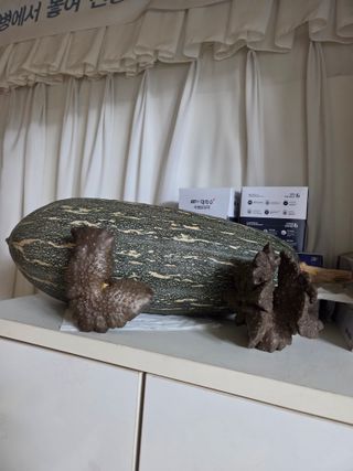 무형교회목사 안영진님의 작성글 사진