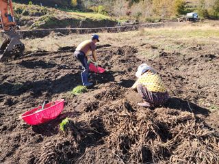 이창신님의 자유주제 · 자유게시판 작성글 사진