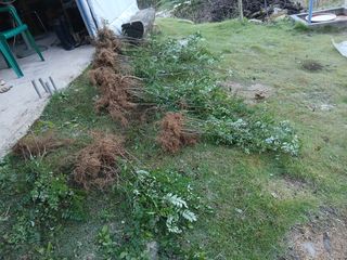 유근승님의 자유주제 · 자유게시판 작성글 사진