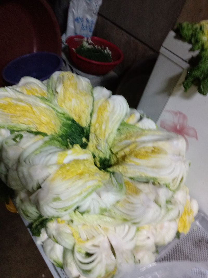 손경식드림농장님의 장터 판매 상품 [절임배추(20키로)완판] 첨부 사진