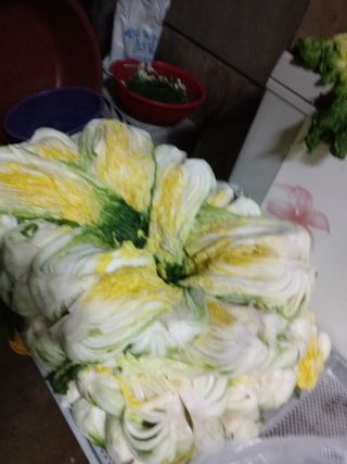 손경식드림농장님의 작성글 사진