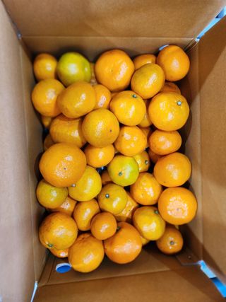 양태숙님의 작성글 사진