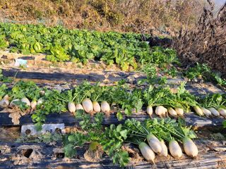 MSG0074님의 자유주제 · 자유게시판 작성글 사진