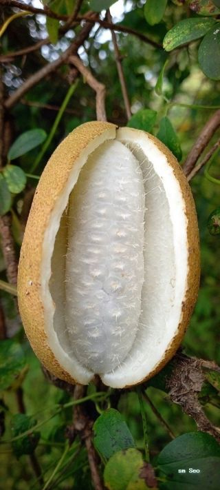 MSG0074님의 자유주제 · 자유게시판 작성글 사진