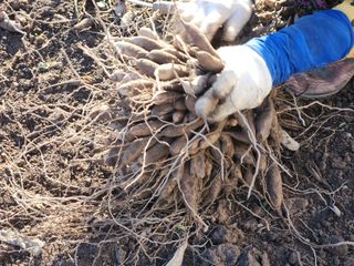 이창신님의 자유주제 · 자유게시판 작성글 사진