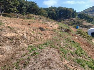 유근승님의 자유주제 · 자유게시판 작성글 사진