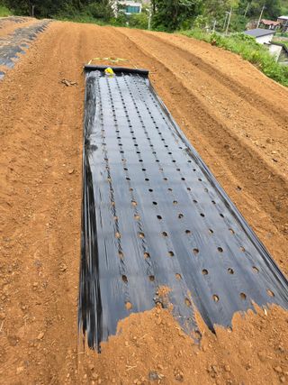 김석기님의 자유주제 · 자유게시판 작성글 사진