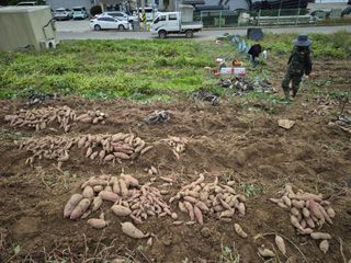 독고다이님의 작성글 사진