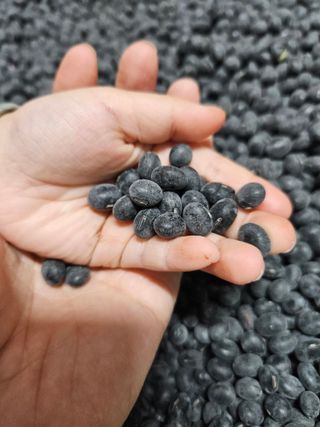 정택희님의 작성글 사진