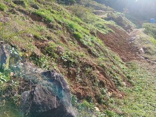 유근승님의 자유주제 · 자유게시판 작성글 사진