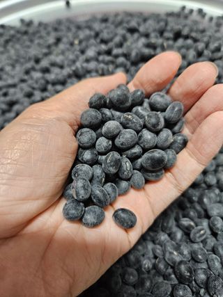 정택희님의 작성글 사진