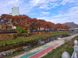 MSG0074님의 자유주제 · 자유게시판 작성글 사진