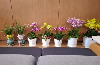 MSG0074님의 자유주제 · 자유게시판 작성글 사진