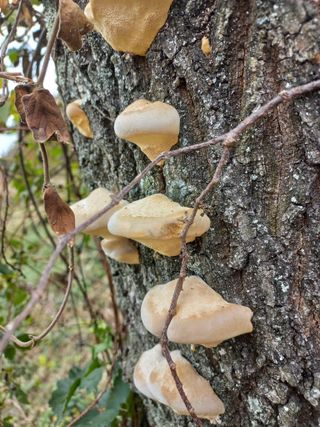심무재 님의 자유주제 · 자유게시판 작성글 사진