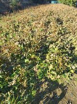 팜모닝 자유주제·자유게시판 게시글 이미지