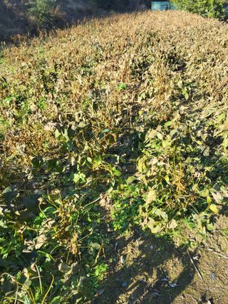 지대식님의 자유주제 · 자유게시판 작성글 사진