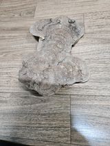 팜모닝 자유주제·자유게시판 게시글 이미지