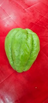 팜모닝 자유주제·자유게시판 게시글 이미지