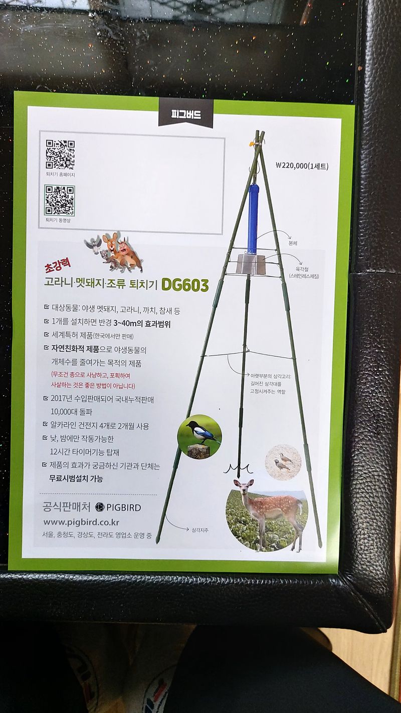 장터 상품 [피그버드] 썸네일