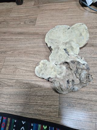 딸기11775님의 자유주제 · 자유게시판 작성글 사진