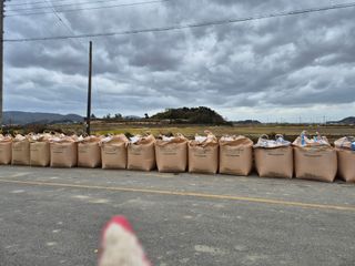 김영진(전남영광)님의 자유주제 · 자유게시판 작성글 사진