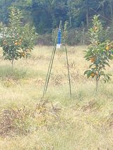 팜모닝 자유주제·자유게시판 게시글 이미지