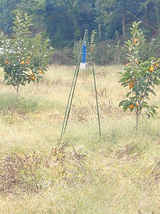 강근희님의 자유주제 · 자유게시판 작성글 사진