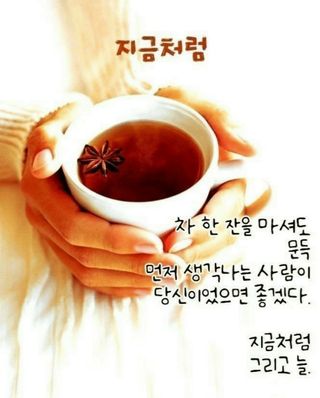SOUL님의 자유주제 · 자유게시판 작성글 사진