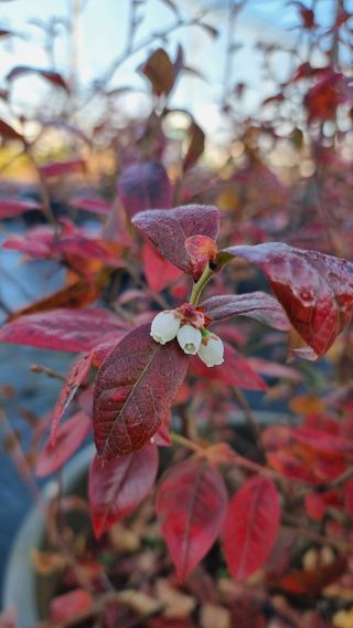 양경호님의 자유주제 · 자유게시판 작성글 사진