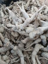 팜모닝 자유주제·자유게시판 게시글 이미지