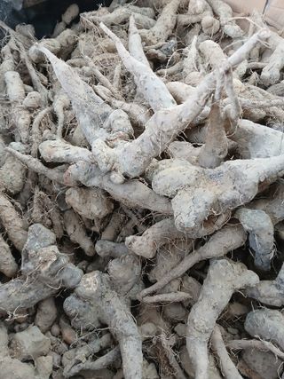 박용찬 님의 자유주제 · 자유게시판 작성글 사진