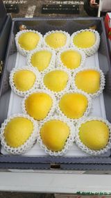 팜모닝 · 게시글 이미지