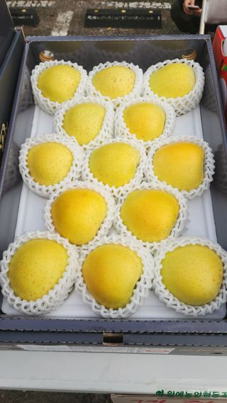 현등농원♡님의 작성글 사진