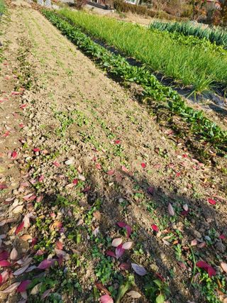 늘찬님의 자유주제 · 자유게시판 작성글 사진