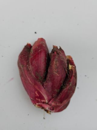 김제일주농장님의 자유주제 · 자유게시판 작성글 사진