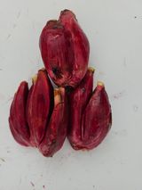 팜모닝 자유주제·자유게시판 게시글 이미지