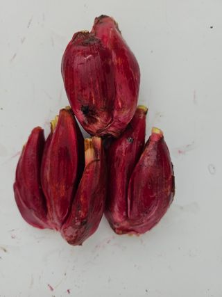 김제일주농장님의 자유주제 · 자유게시판 작성글 사진