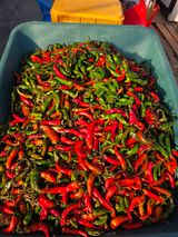 팜모닝 자유주제·자유게시판 게시글 이미지