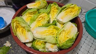 황규복(달구지)님의 자유주제 · 자유게시판 작성글 사진