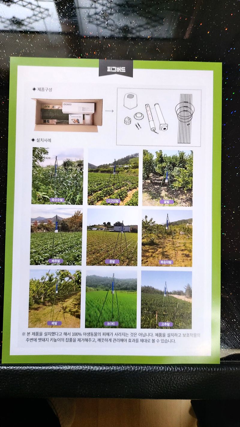 강근희님의 장터 판매 상품 [피그버드] 첨부 사진