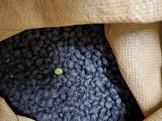 장세만 님의 자유주제 · 자유게시판 작성글 사진