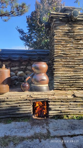 이상애초보농업님의 자유주제 · 자유게시판 작성글 사진