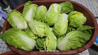 황규복(달구지)님의 자유주제 · 자유게시판 작성글 사진