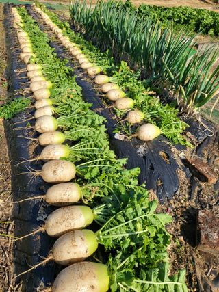 늘찬님의 자유주제 · 자유게시판 작성글 사진