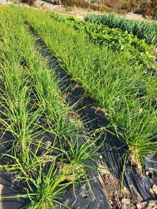 늘찬님의 자유주제 · 자유게시판 작성글 사진