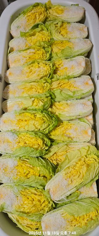 황규복(달구지)님의 자유주제 · 자유게시판 작성글 사진