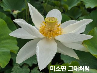 두레연님의 작성글 사진