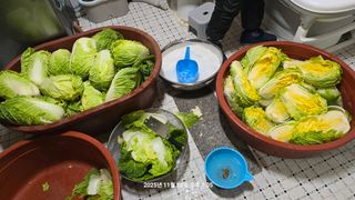 황규복(달구지)님의 자유주제 · 자유게시판 작성글 사진