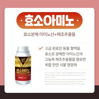 누보농장님의 자유주제 · 자유게시판 작성글 사진