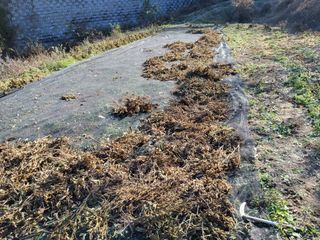 지대식님의 자유주제 · 자유게시판 작성글 사진